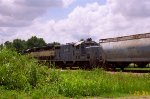 ACWR 1755 & 3802 shoving a train thru town